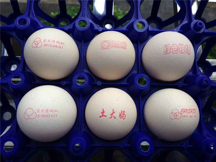 雞蛋噴碼樣品